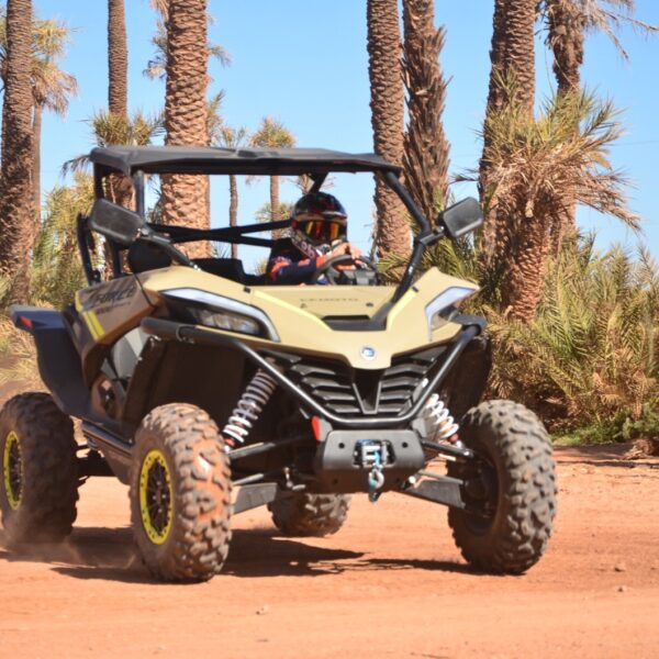 1000cc Buggy Tour in the Palmeraies of Marrakech